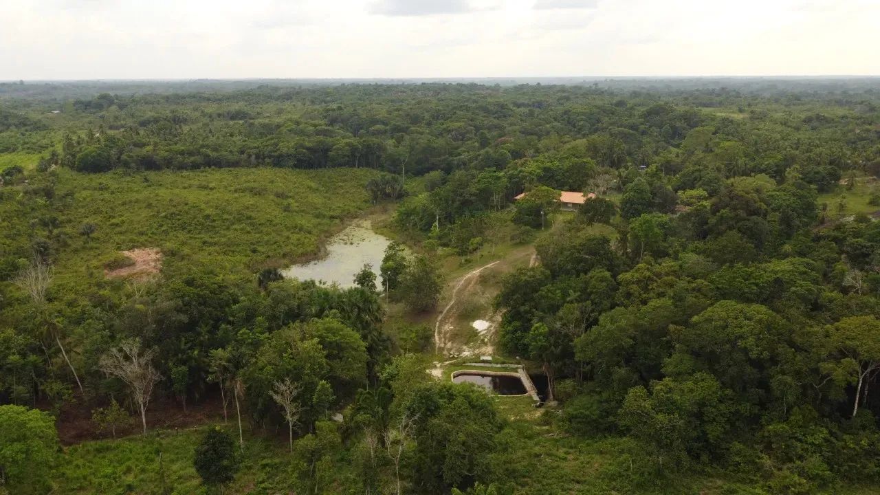 Fazenda na PA 140 - Foto 2