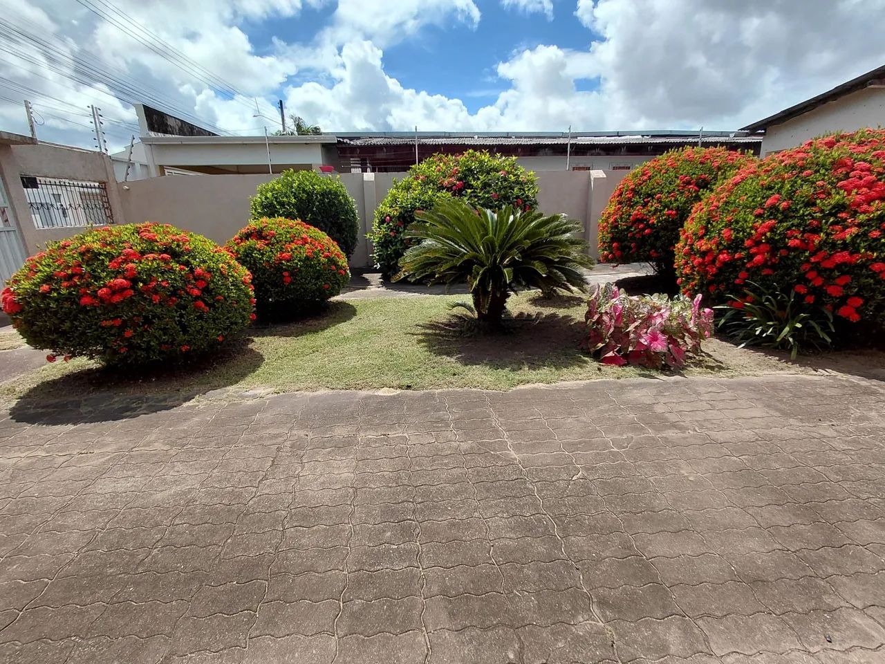 Serviço com roçadeira - Foto 4