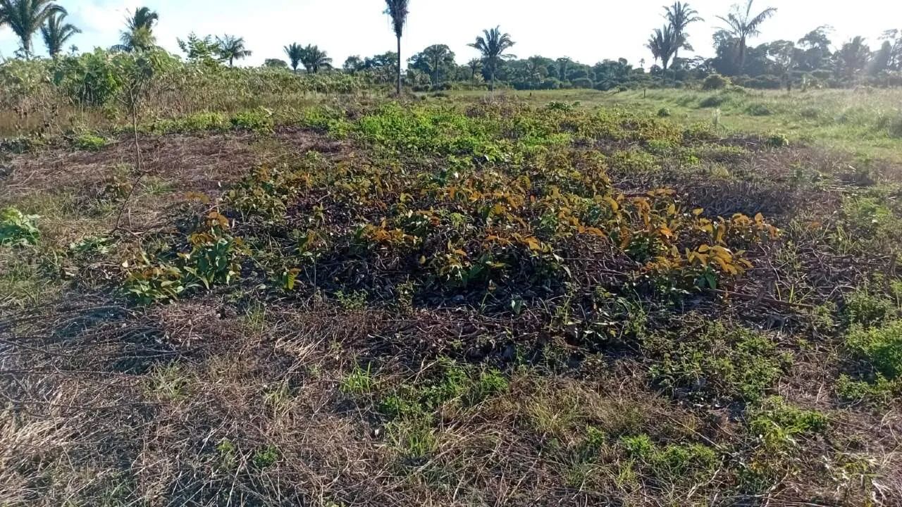 CHACARA A VENDA EM CANDEIAS DO JAMARI - Foto 4