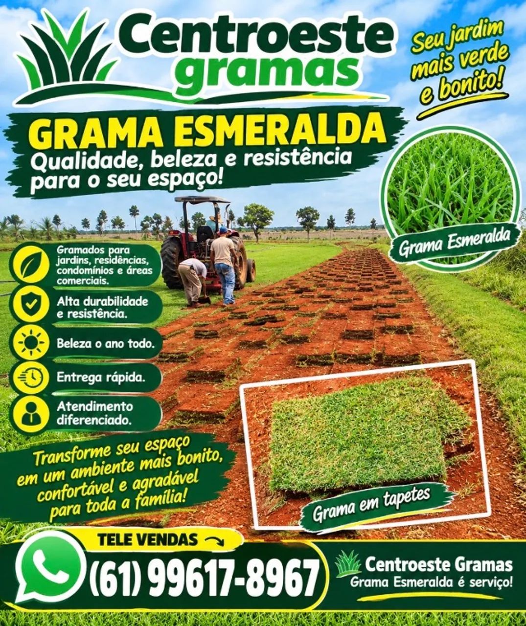 Grama esmeralda 