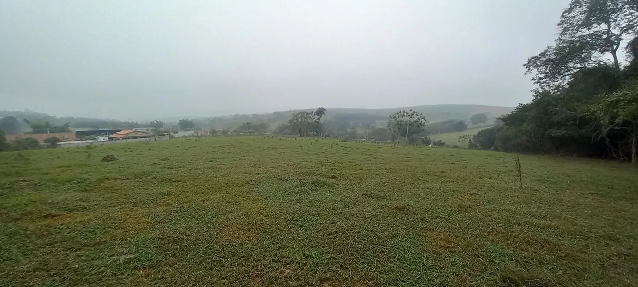 Hotelaria equina - Foto 5