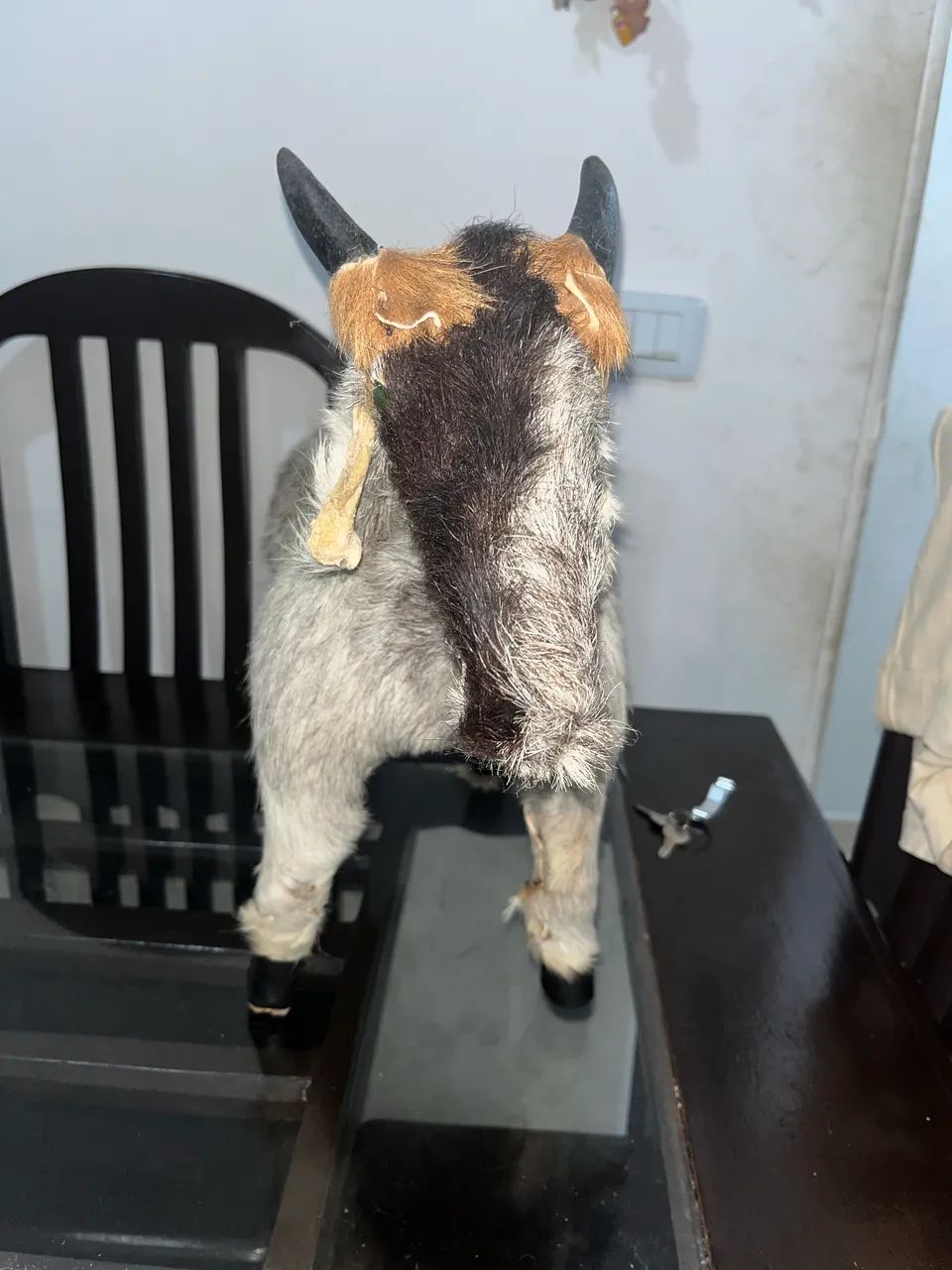 Bode artesanal pra colocar bebida  - Foto 3