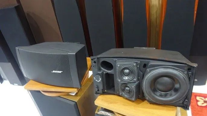 Bose ds100se (valor do par)