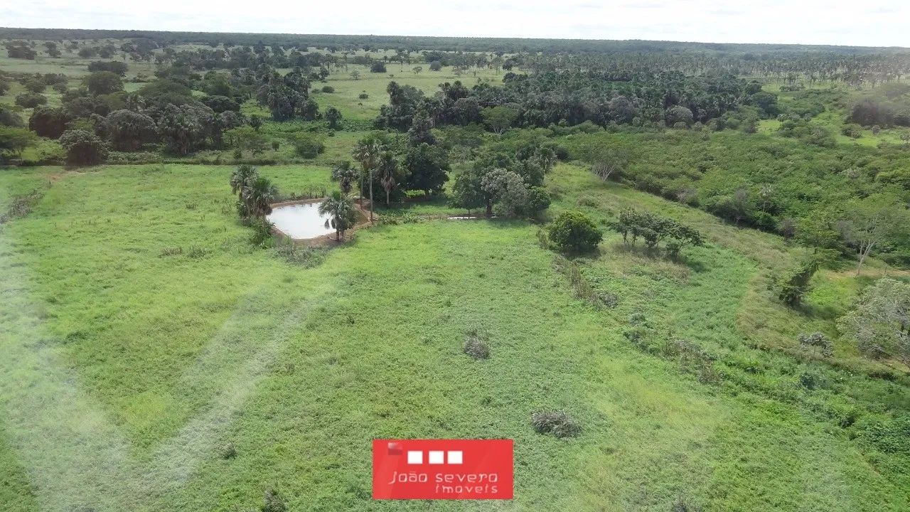 Fazenda para Venda em Aroazes - Foto 4