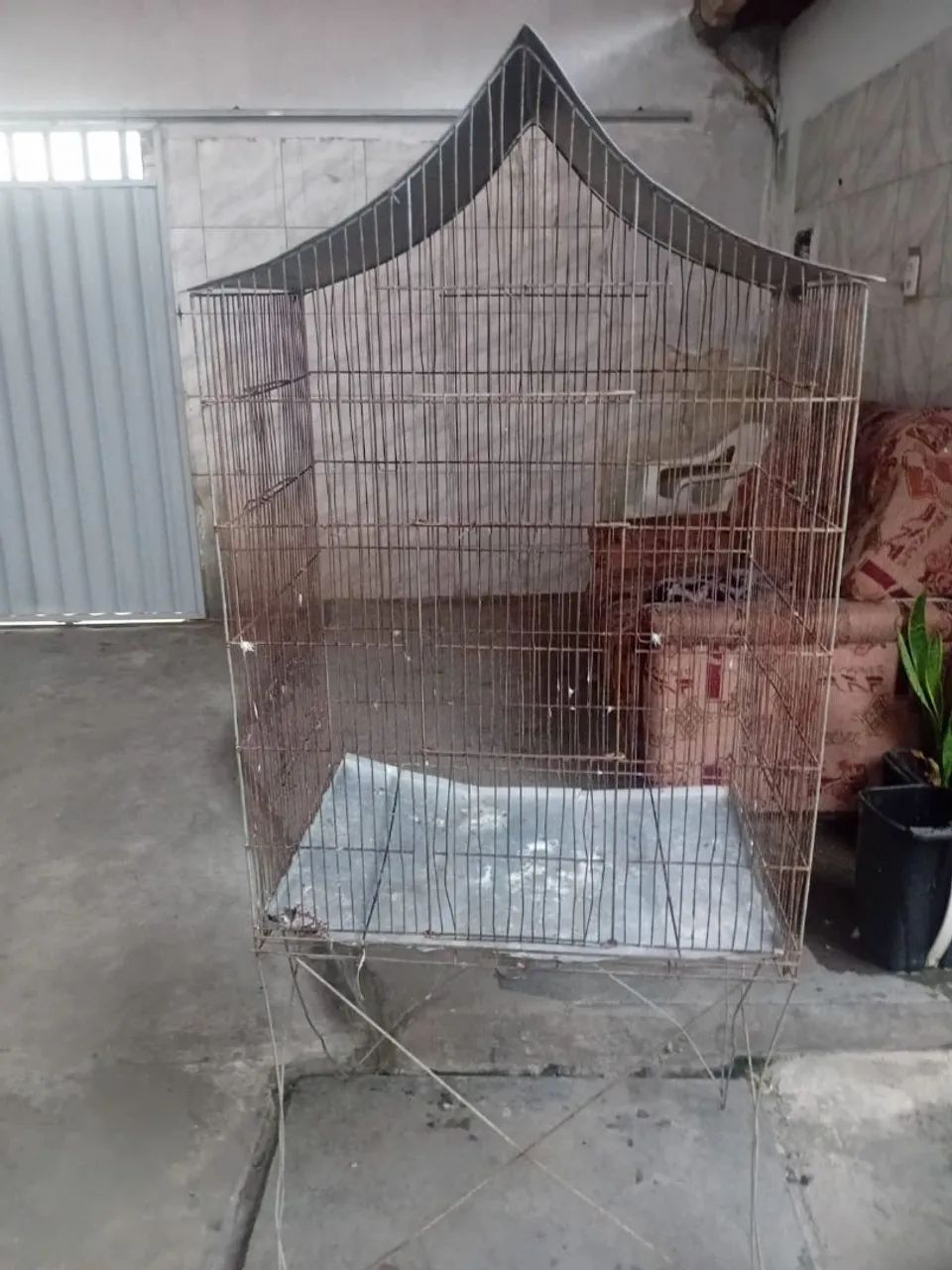 Gaiola 