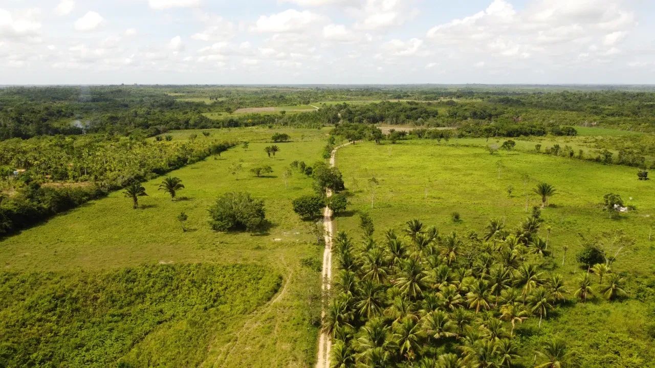 Fazenda na PA 140 - Foto 5