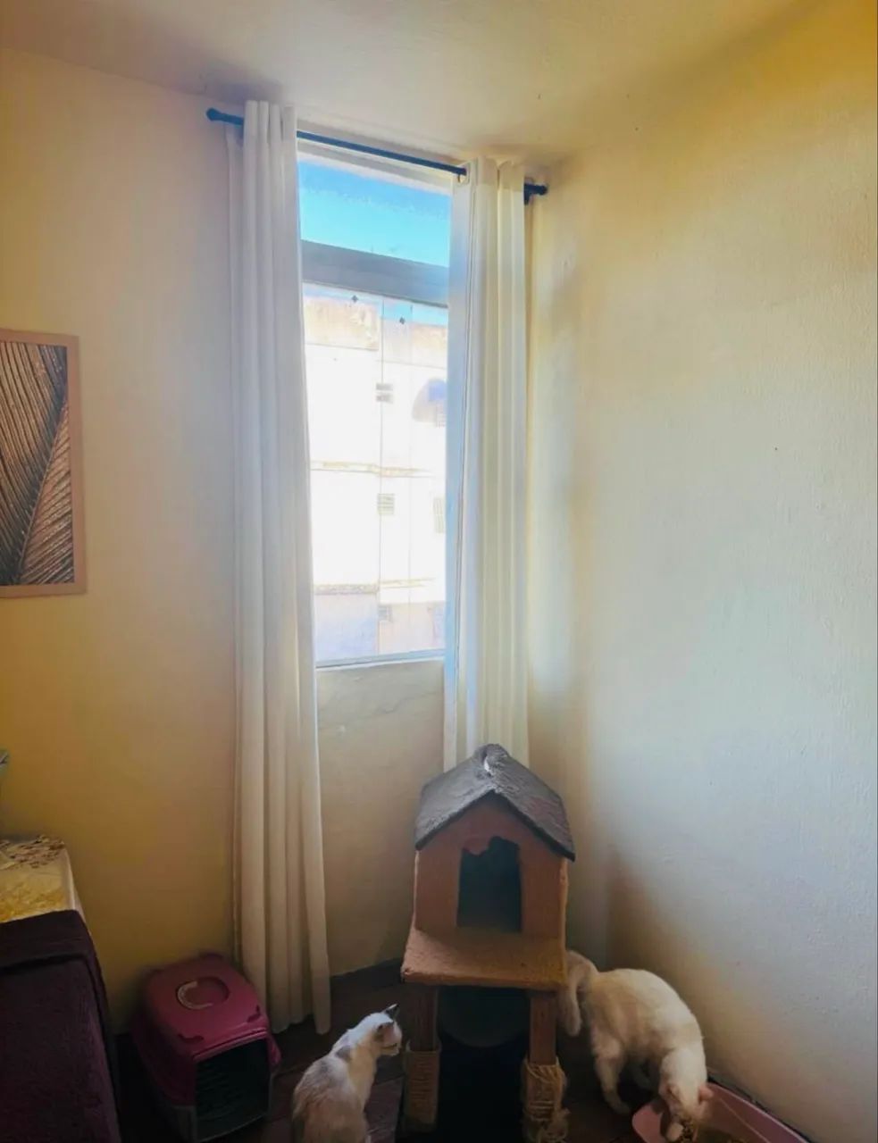 Apartamento 3 quartos na Imbiribeira á venda - Foto 5