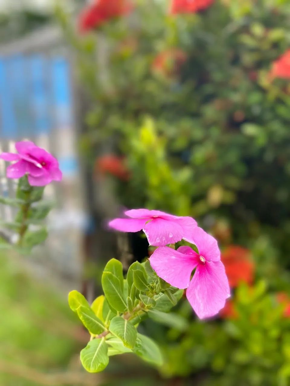 Casa de praia - Village Jacumã  - Foto 4