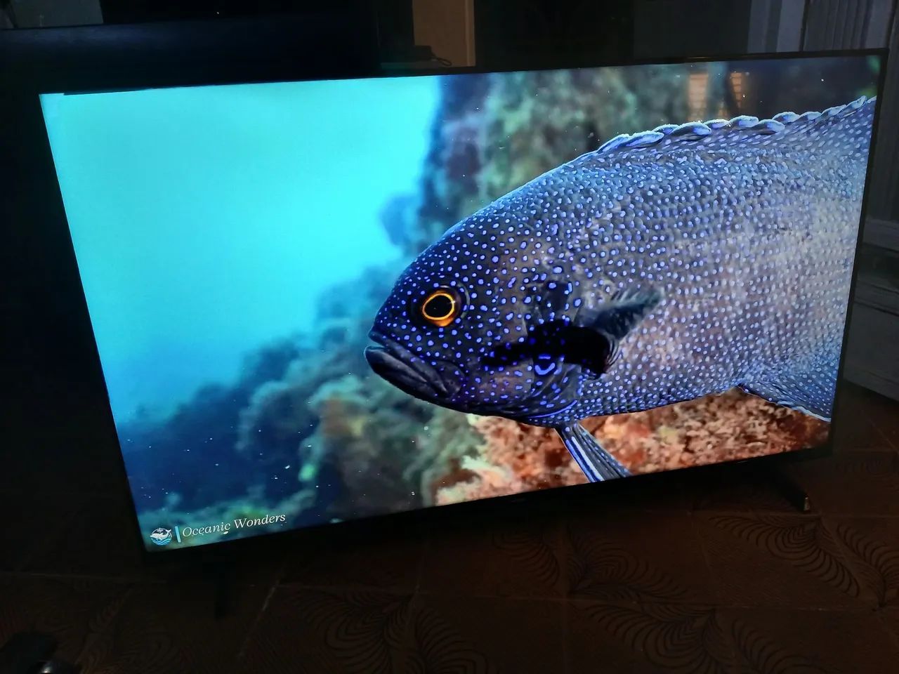 Oportunidade Tv 32 pol wifi  - Foto 3