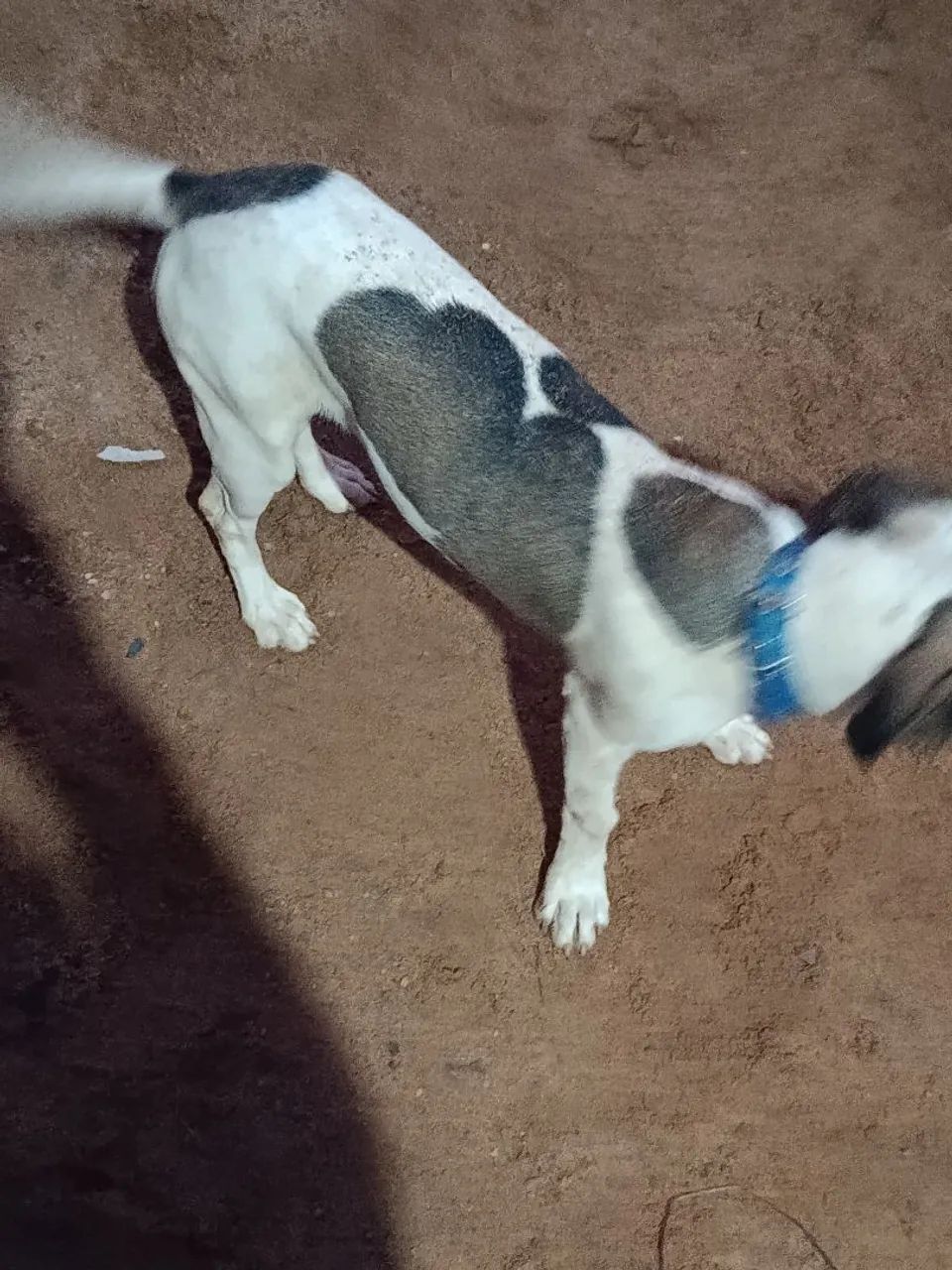 Doação  - Foto 2