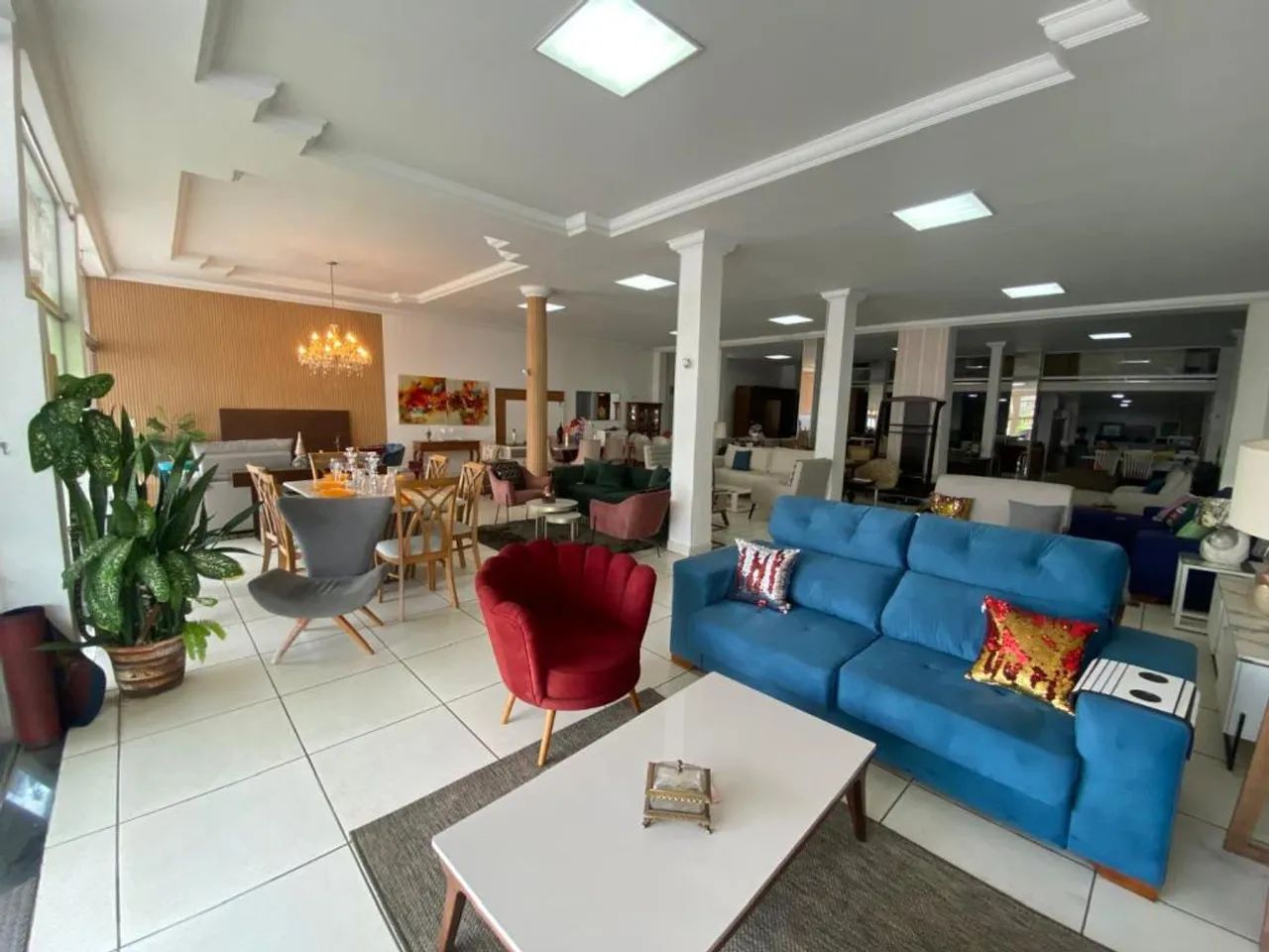 Loja Comercial com 560 m2 Setor Pedro Ludovico - Foto 3