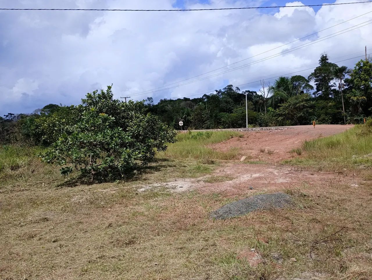 Sítio na Br 319 - Foto 4