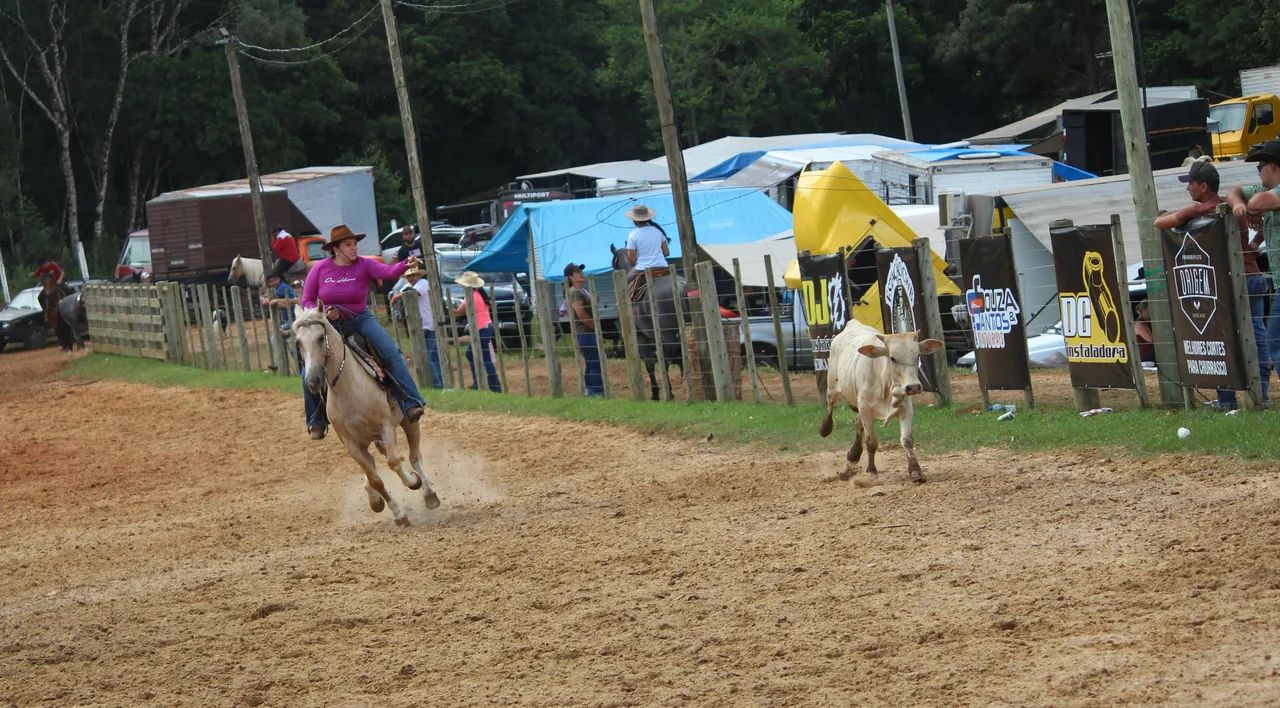 Vende-se Égua baia  - Foto 2