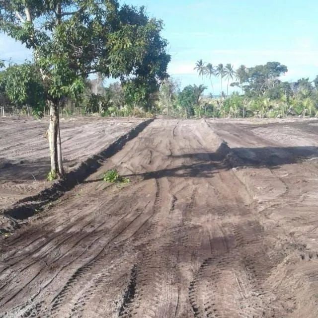 Terreno Alcobaça bahia Area de 7000m2  - Foto 3