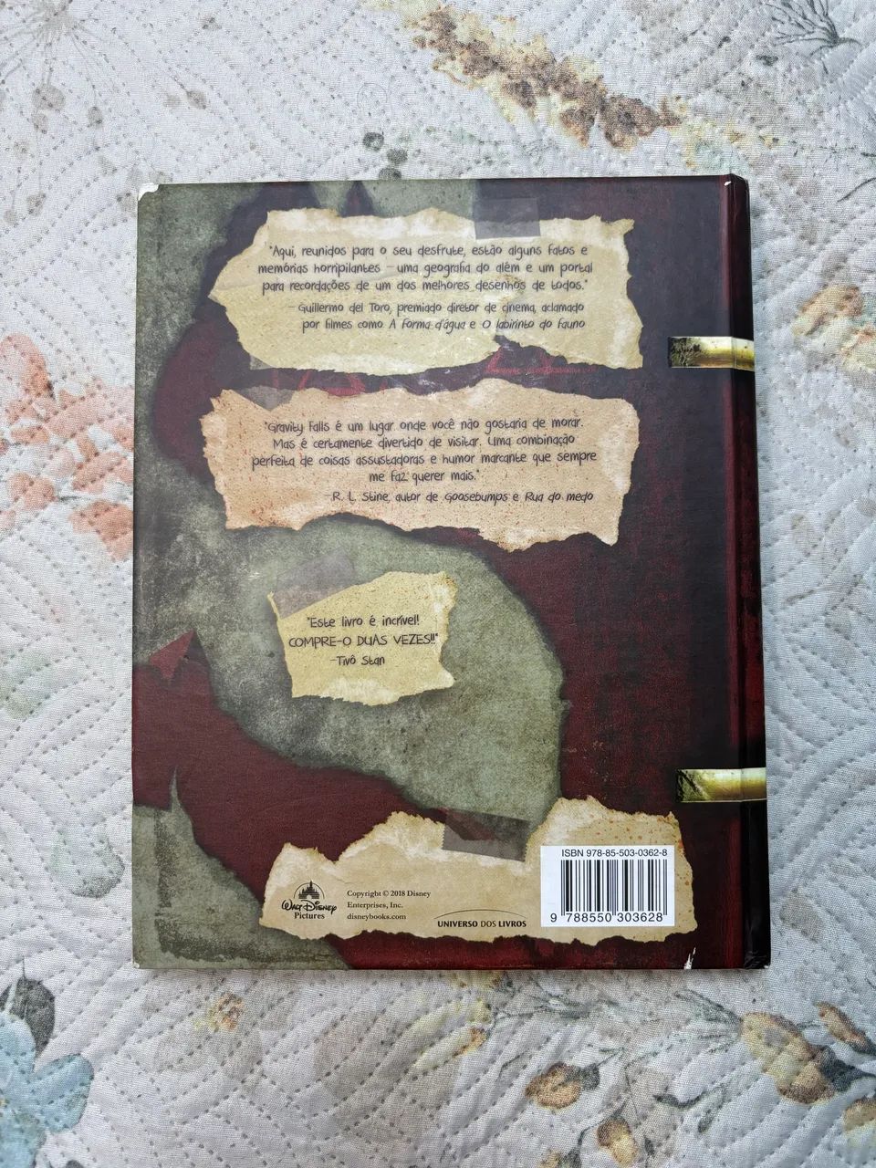 Livro: Gravity falls o diário perdido - Foto 3