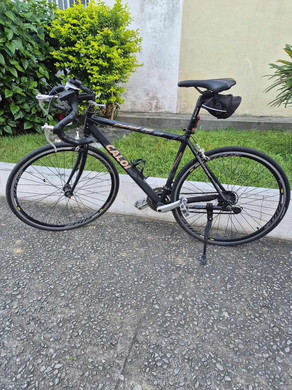 Speed caloi 10