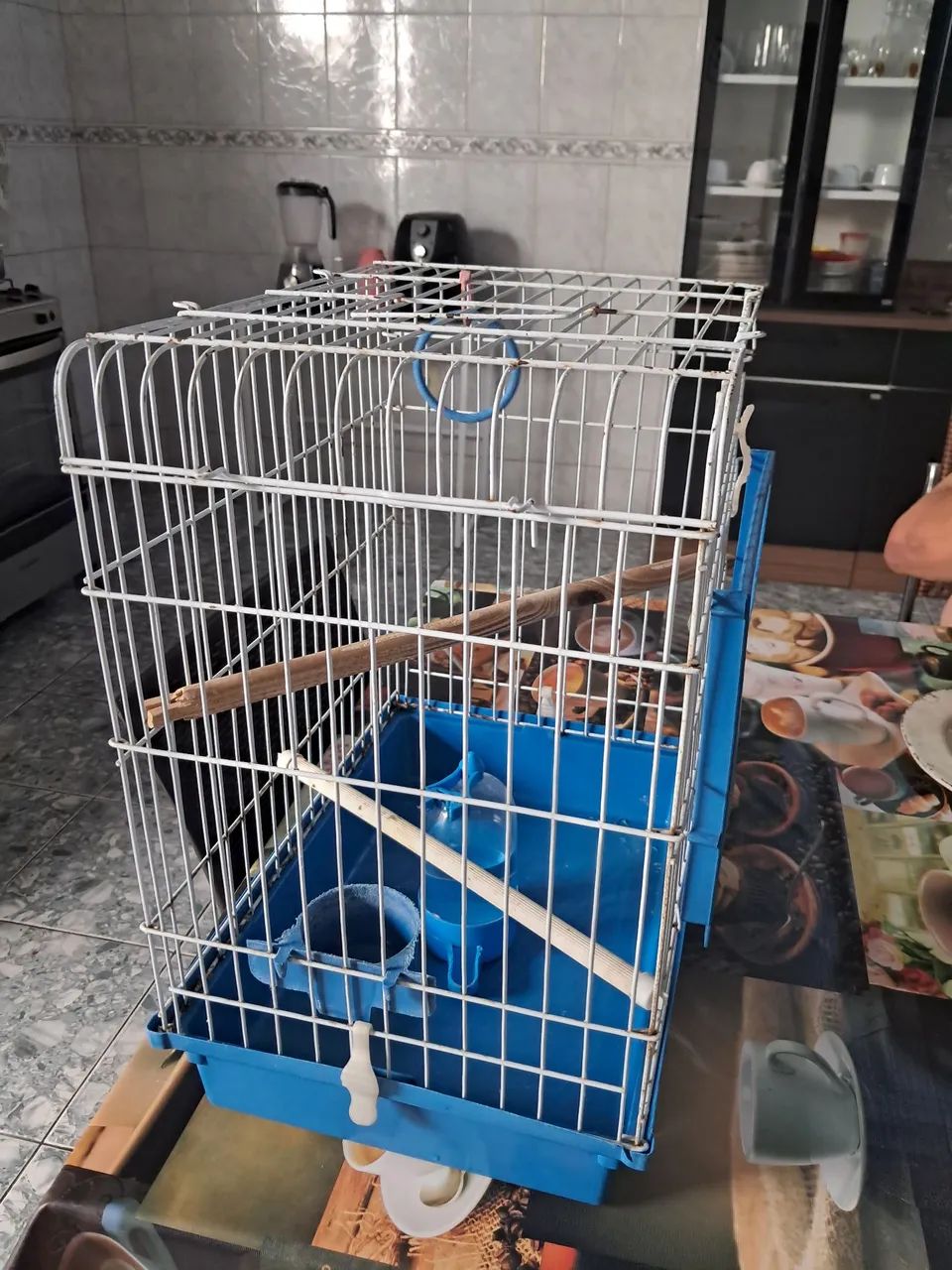 GAIOLAS PARA PÁSSARO - Foto 4