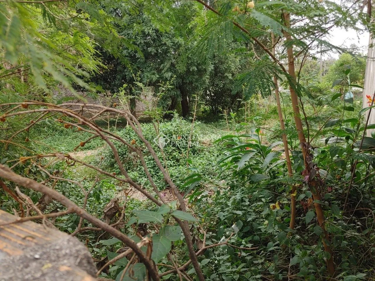 Terreno com viabilidade proximo a praia - Foto 5