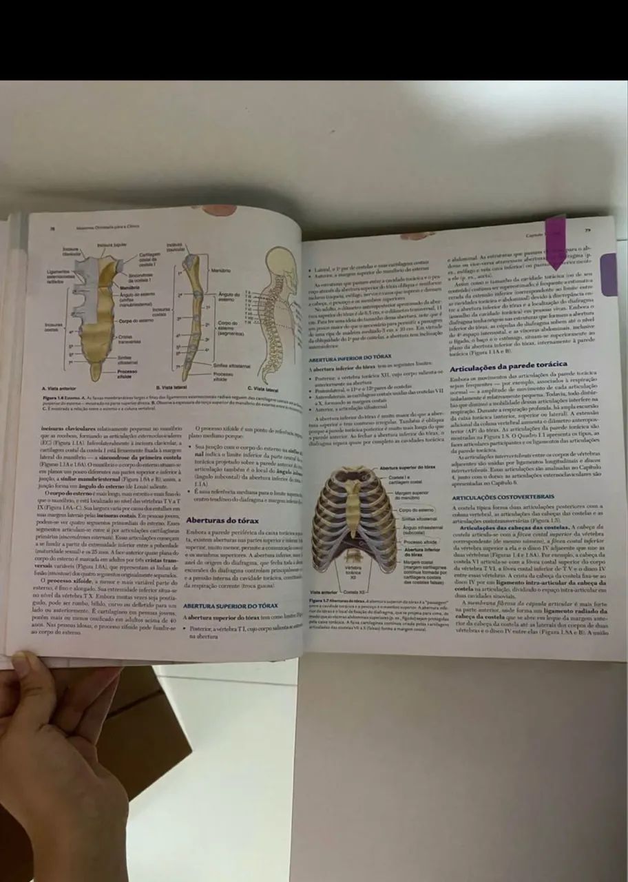 Livro de anatomia  - Foto 2