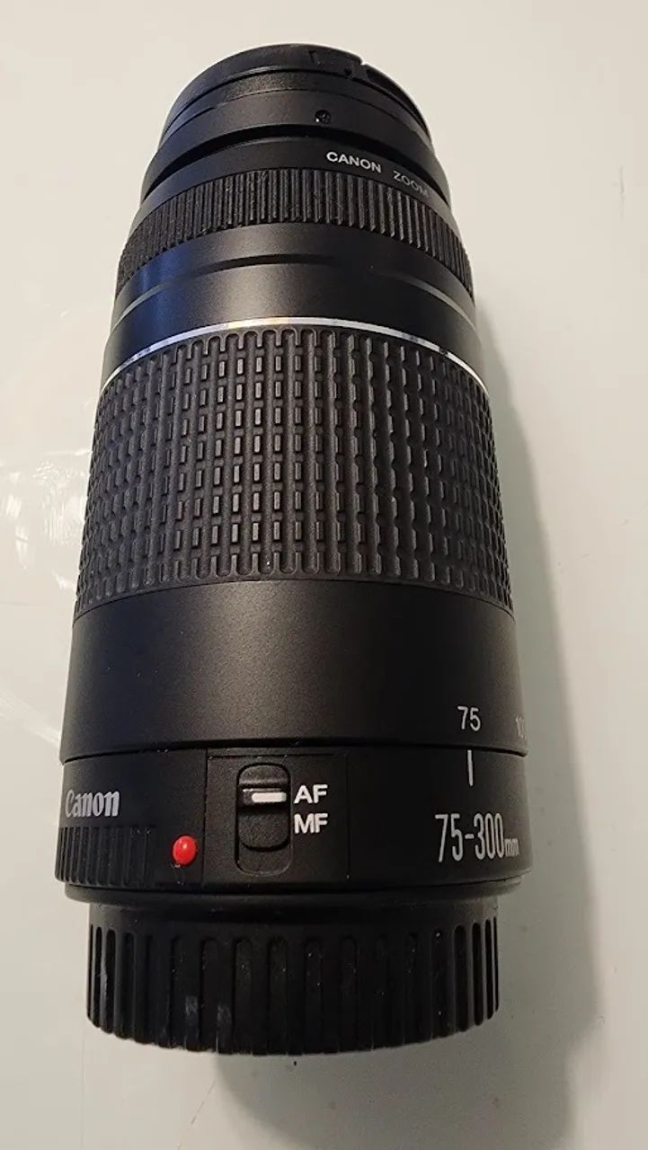 （2セット） Canon EF 28-80&Canon EF 75-300 canon ef 75 300
