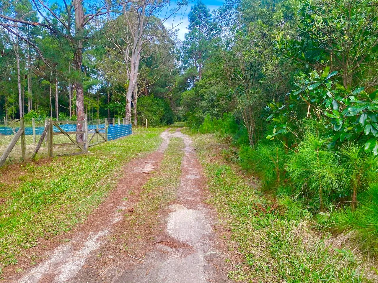Lindo terreno na praia da pinheira  - Foto 5