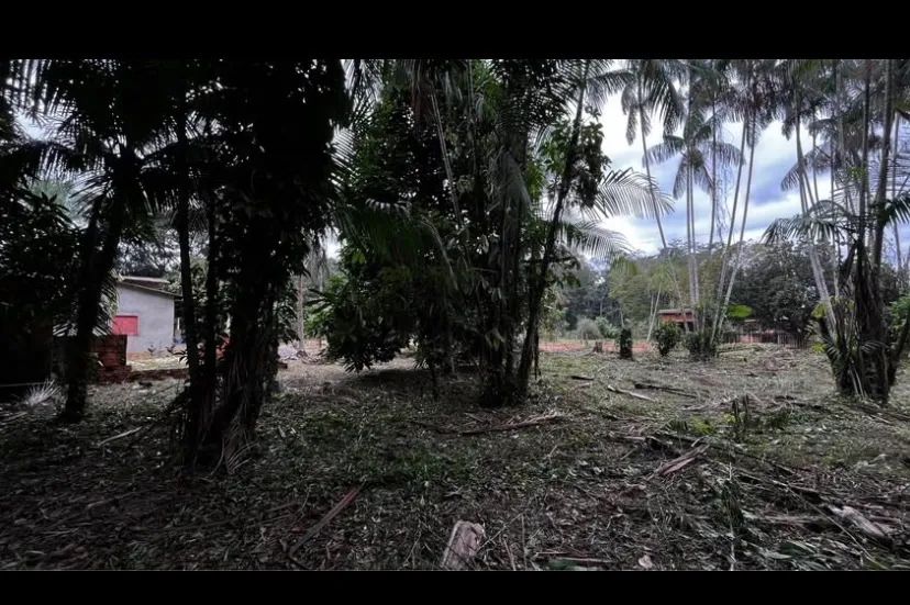 Vendo esse terreno. - Foto 2