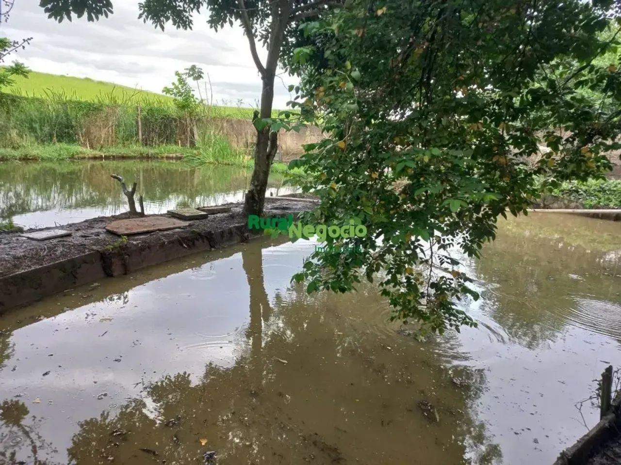 Pesqueiro com Lagos e Tanques à venda em Lorena-SP