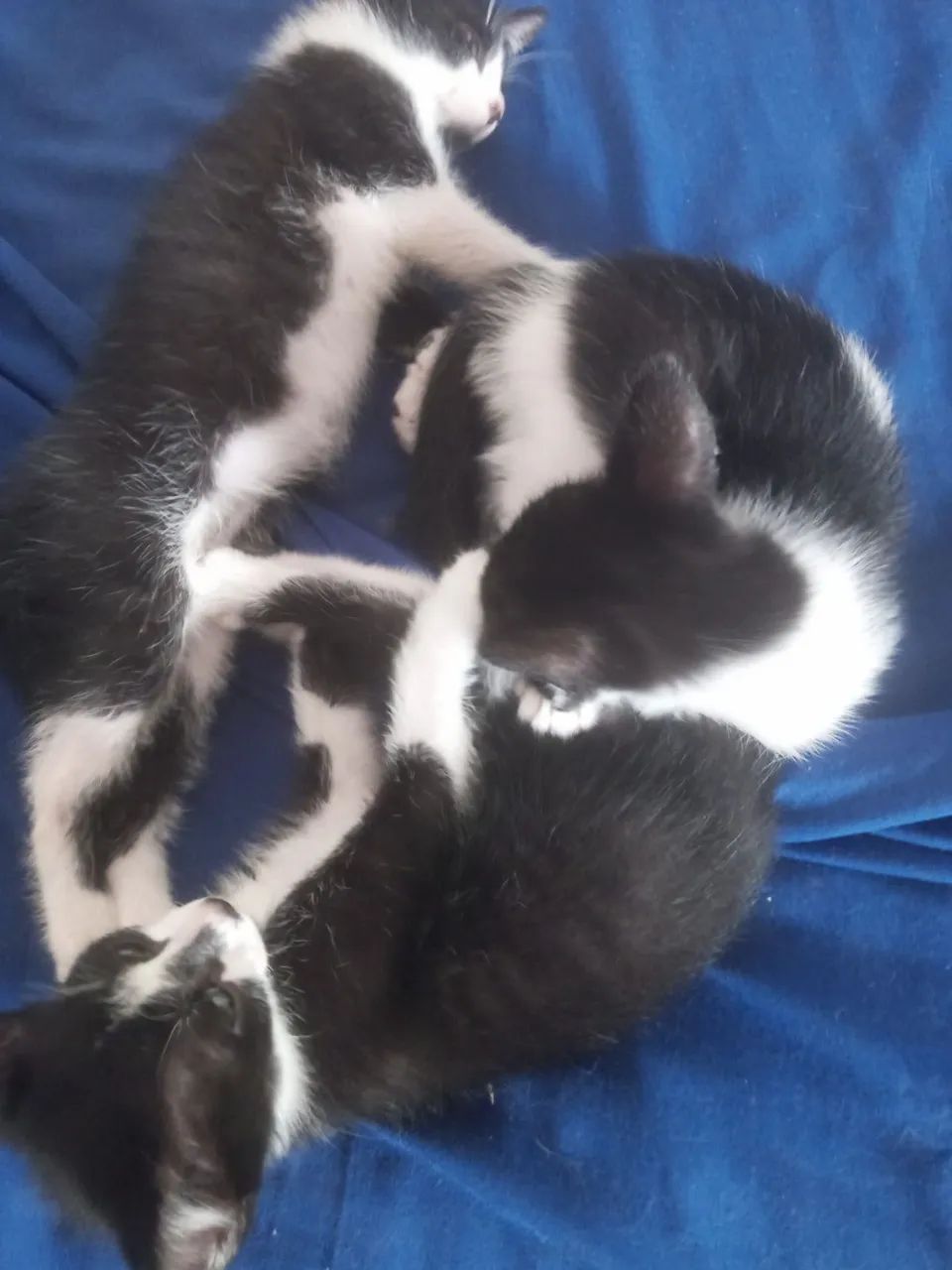 DOAÇÃO RESPONSÁVEL  - Foto 2