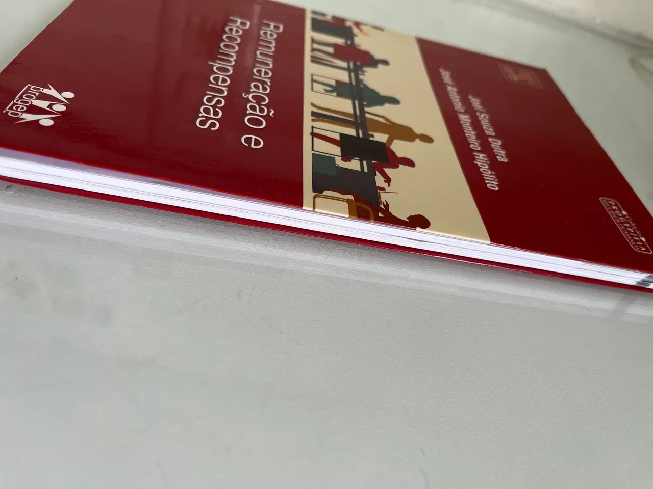 Remuneração e competências - Joel Souza Dutra - Foto 3