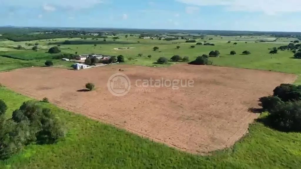 Fazenda em Poço Branco 239 ha - Foto 4