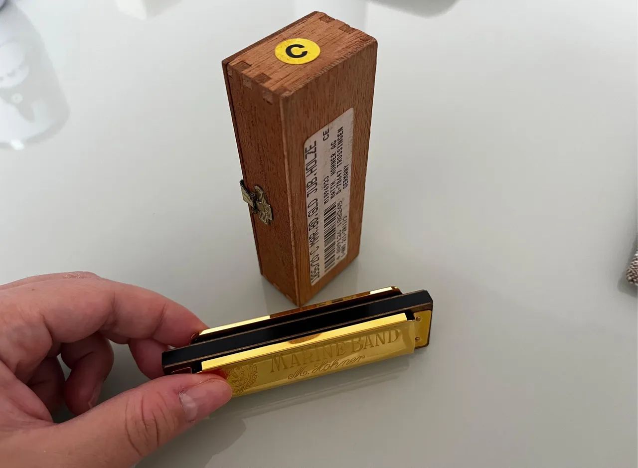 GAITA HOHNER COMEMORATIVA 100 ANOS - Foto 3