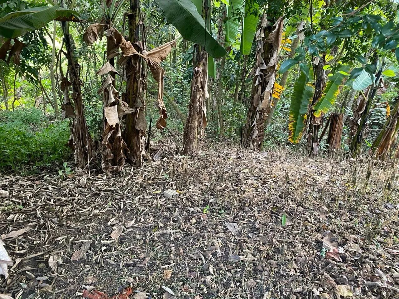 Vende se chácara em Rio manso Mg - Foto 3