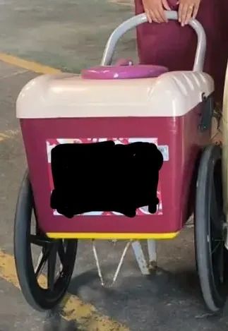 Carrinho para Picolé 