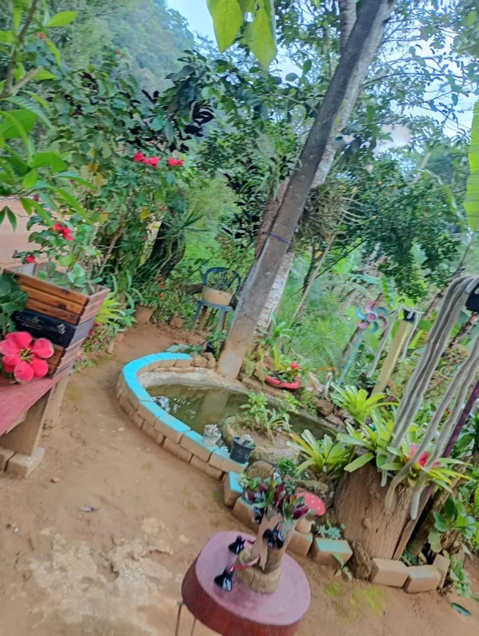 Chácara - Foto 2