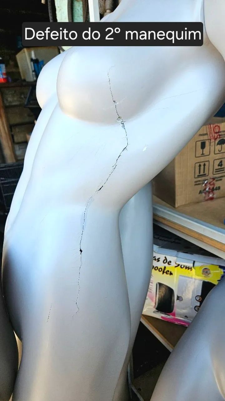 Manequim Feminino (Corpo inteiro) - Foto 5
