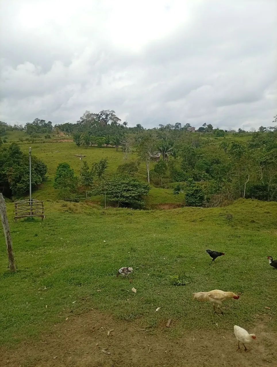 Vendo essa colônia  - Foto 3