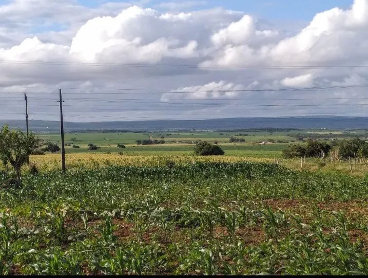 Vende se uma casa - Foto 5