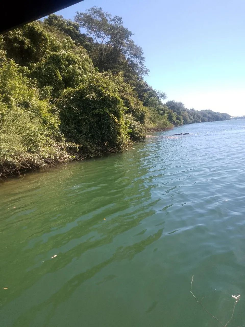 Vende-se Lote na cidade de Peixe TO - Foto 2