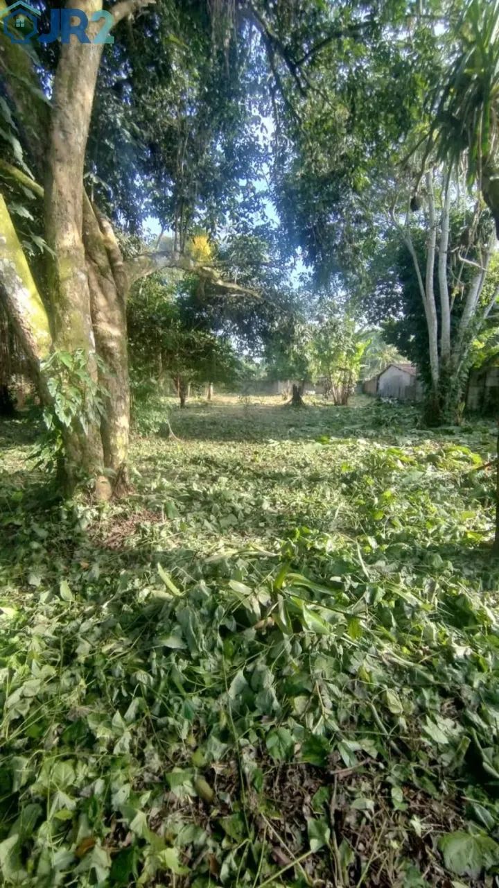 OPORTUNIDADE 2 LOTES EM ALDEIA 1.950m² - Foto 2