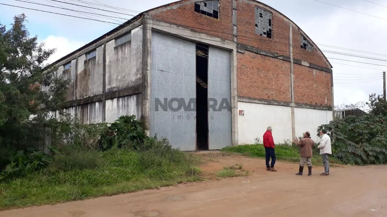 Área na BR 116 - Foto 4