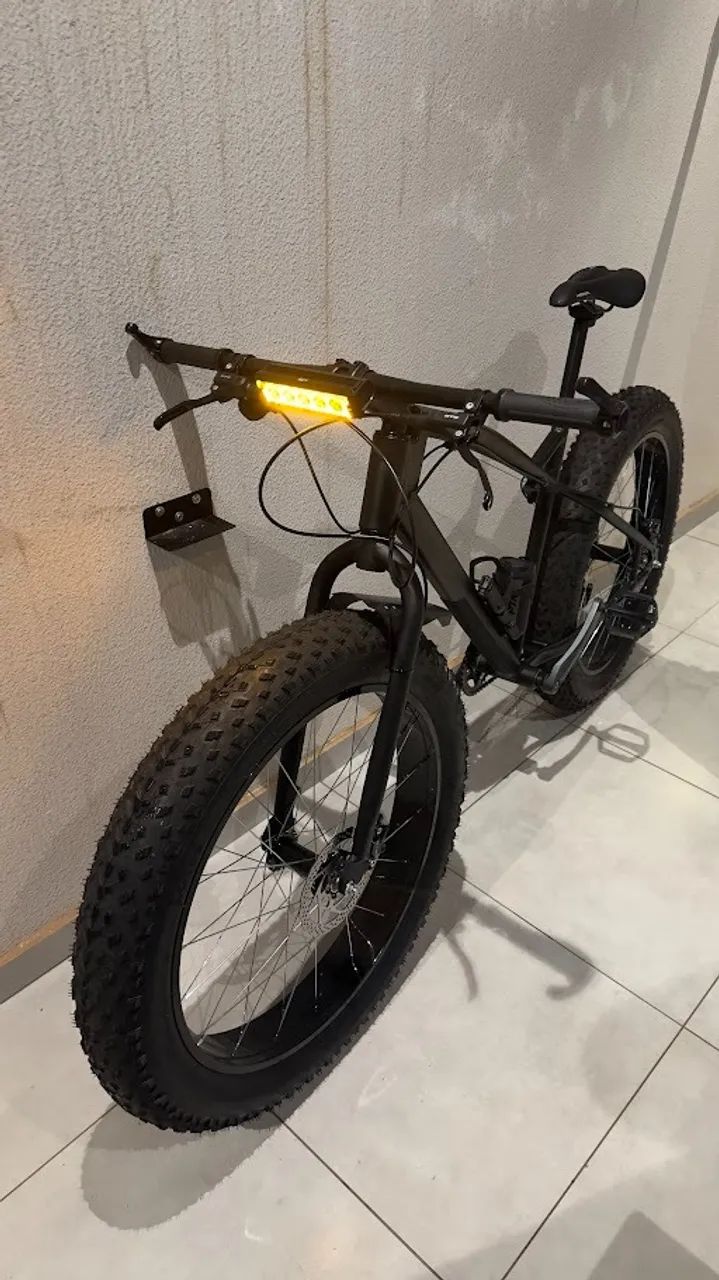 Fat Bike 