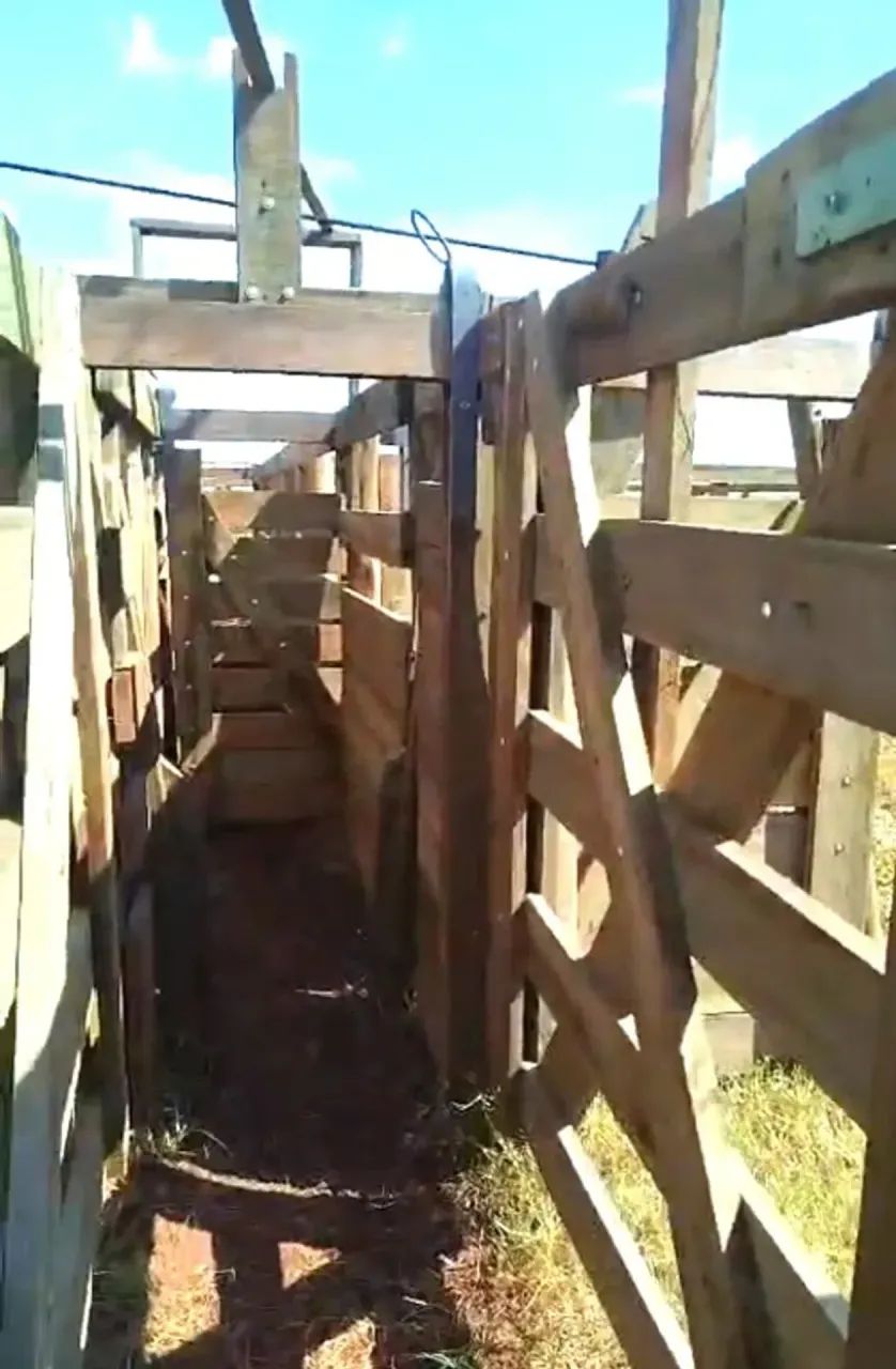 PECUÁRIA - Área Rural 20,50 Alqueires - Foto 3