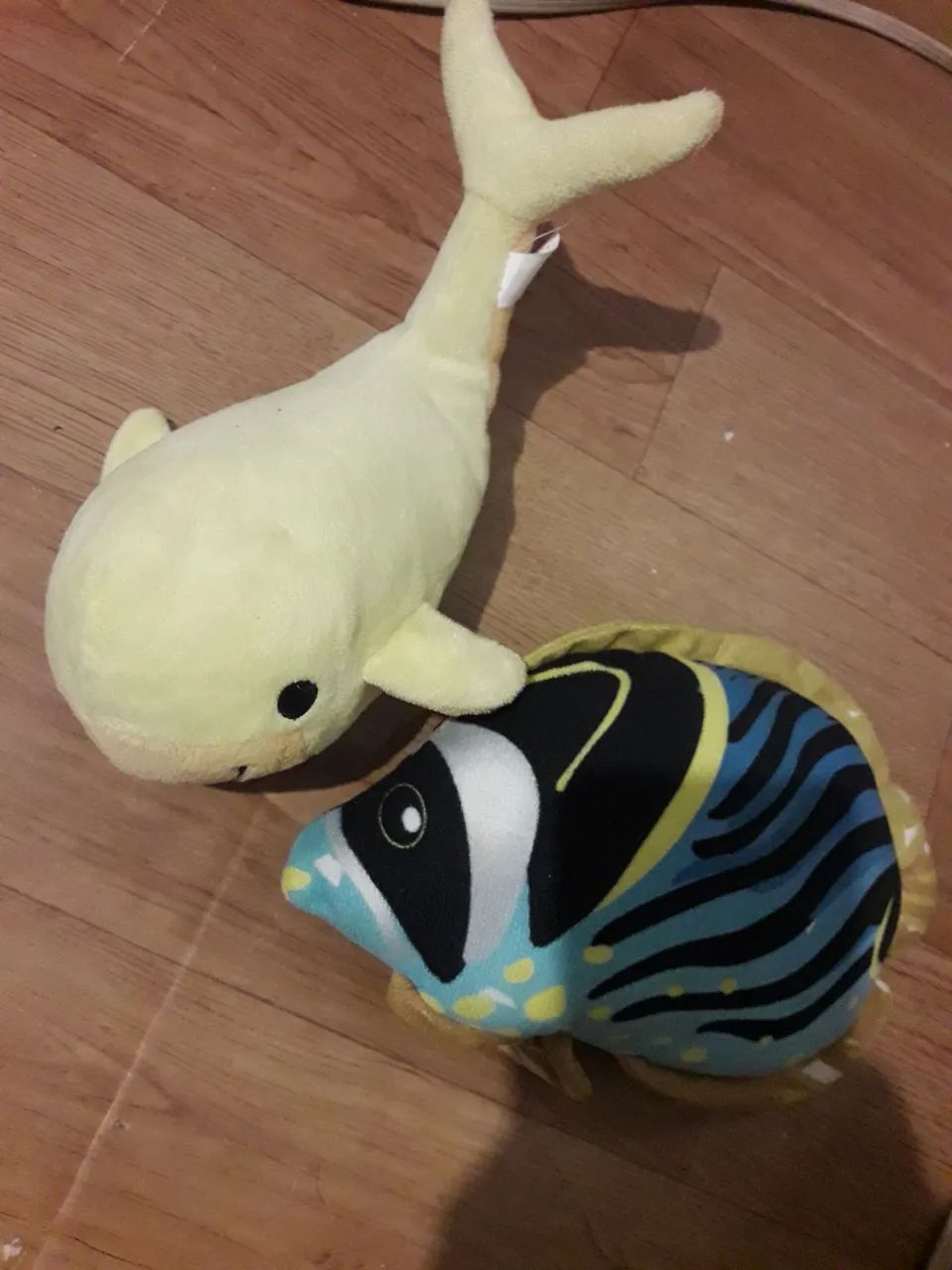 2 pelúcias do mar 