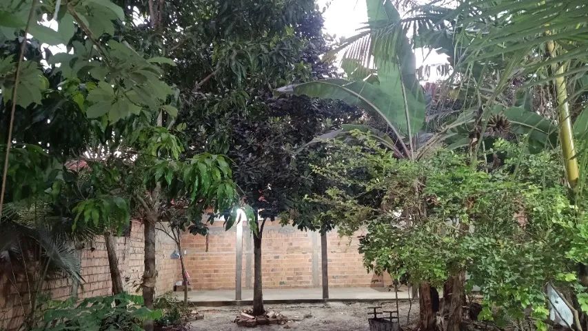 Excelente Imóvel em Área Urbana  - Foto 3