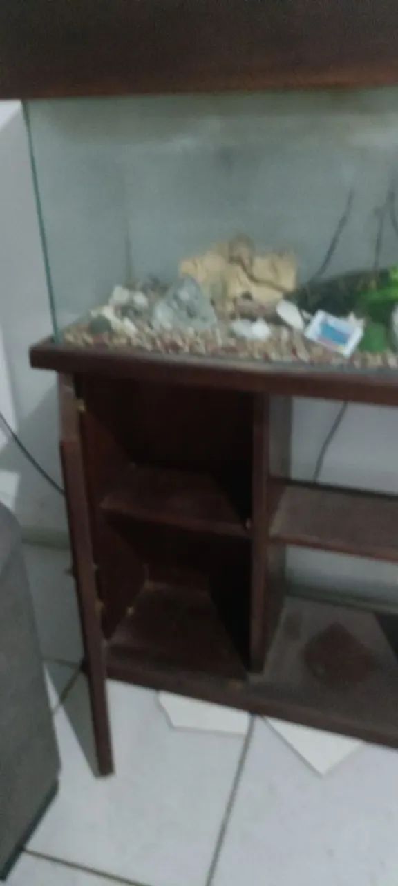 Aquário - Foto 5