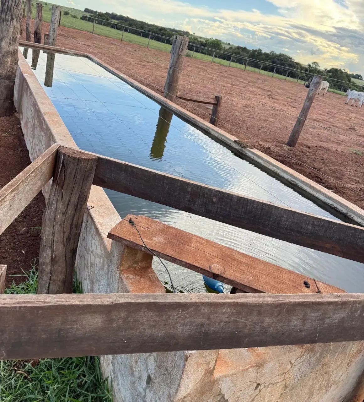Fazenda Camapua - MS - Foto 5