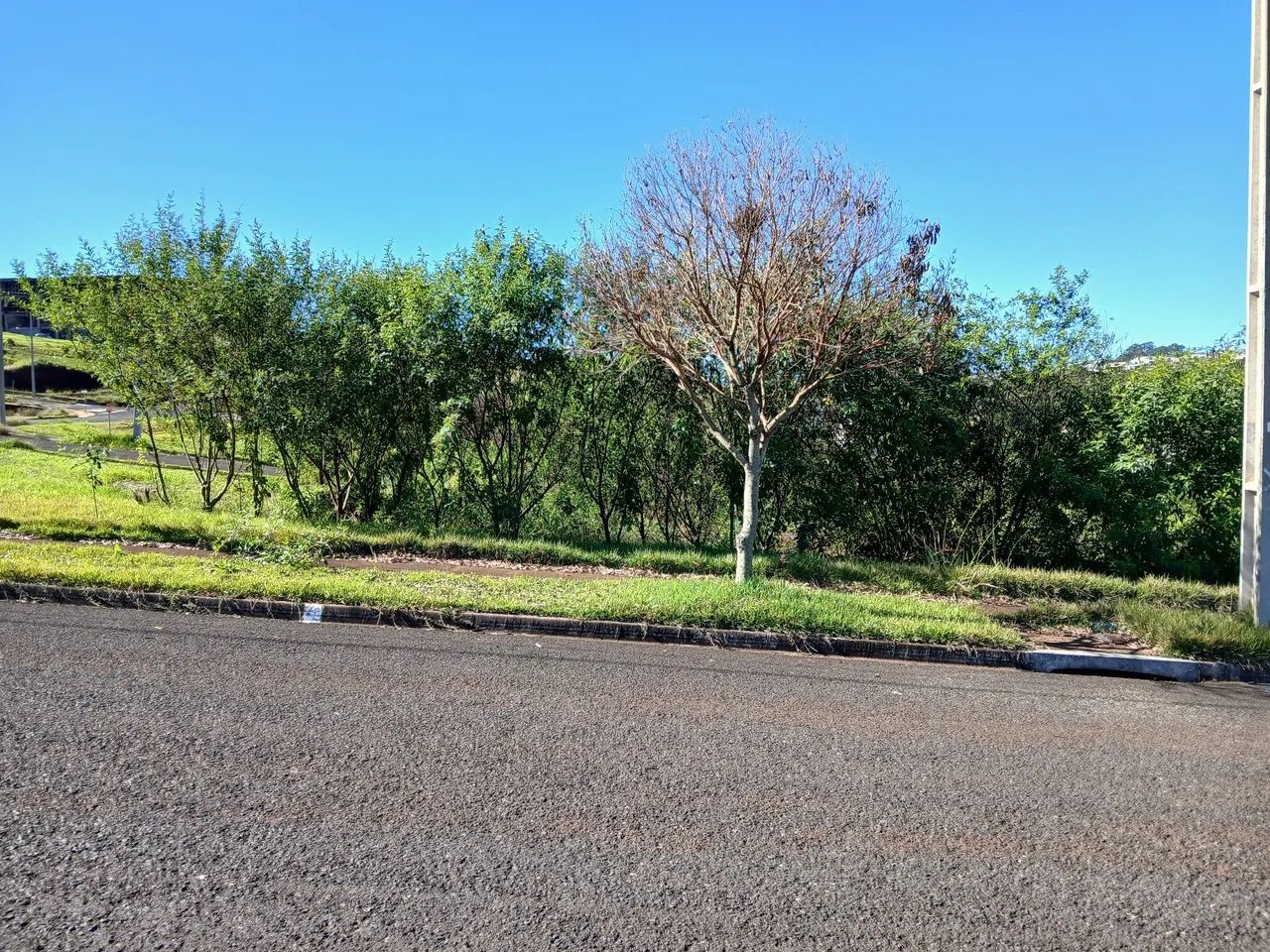 Data / Lote Jardim Santa Alice 2 c/ parcelas Arapongas - Foto 4