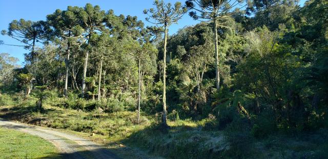 Sitio em Urubici/chácara em Urubici/Terreno em Urubici