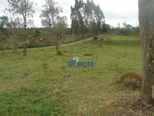 Chácara condomínio fechado são josé dos pinhais - Foto 12