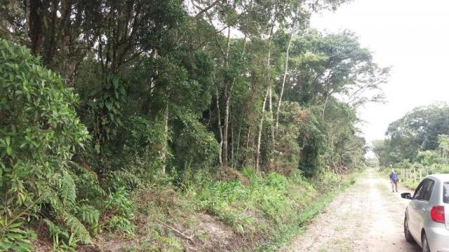 Terreno à venda em itapoá medindo 12 x 30, total 360 m² por r$ 60.000 - farol do itapoá ii - Foto 6